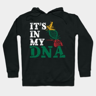 It's in my DNA - Lithuania Hoodie